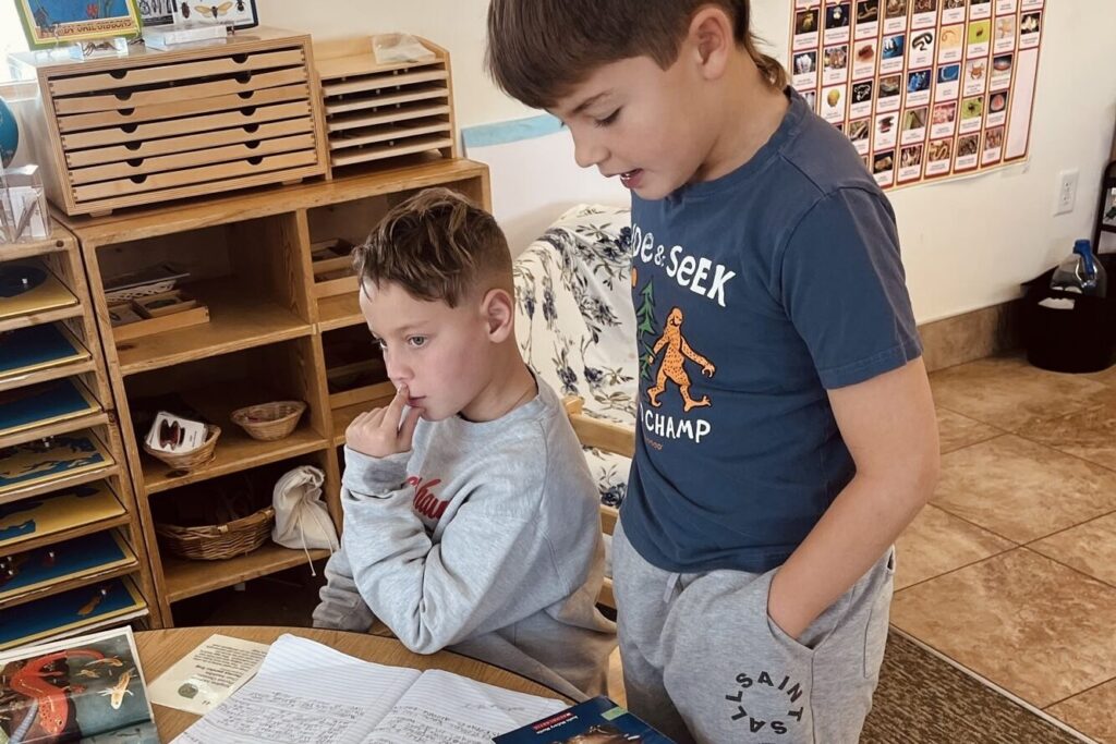 Mixed-age upper elementary Montessori students working together in a prepared classroom